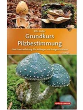 Buch Rita LÜder Grundkurs Pilzbestimmung