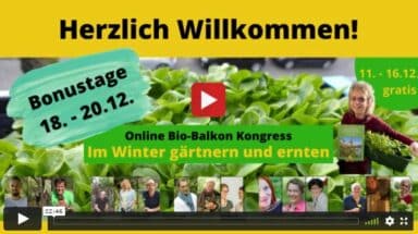 Online Bio-Balkon Winter Kongress 2020 Birgit Schattling