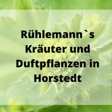 Rühlemann