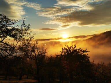 Sonnenaufgang über einem nebligen Tal mit Bäumen, Symbol für einen Neuanfang