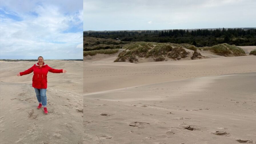 Weite Sanddünen der Råbjerg Mile in Nordjütland