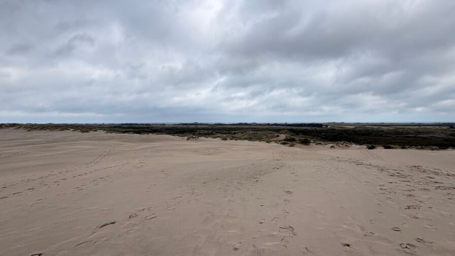 Weite Sandflächen und Dünen der Wanderdüne Råbjerg Mile in Nordjütland