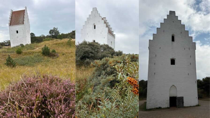 Versandete Kirche bei Skagen mit Heide und Sanddorn in der Dünenlandschaft Nordjütlands