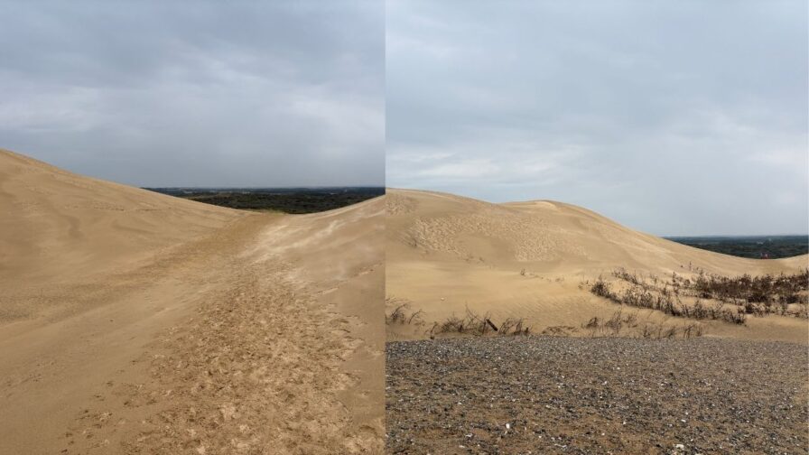 Weg durch die weiten Sanddünen von Rubjerg Knude zum Leuchtturm Rubjerg Knude Fyr
