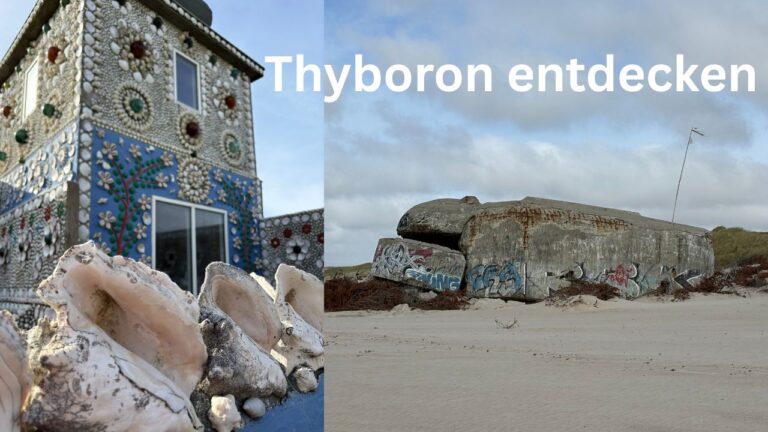 Thyborøn entdecken – Sneglehuset mit Muscheln und alter Bunker am Strand