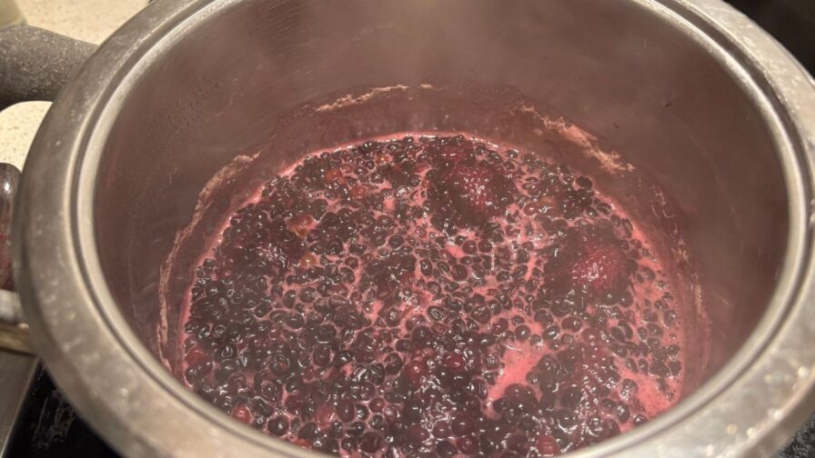 Holunderbeeren des Schwarzen Holunders beim Kochen in einem Topf