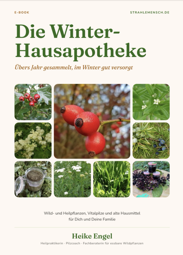 E-Book Die Winter-Hausapotheke