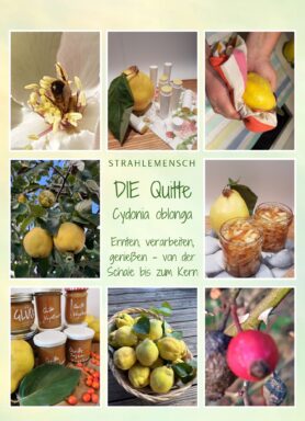 Cover des E-Books „Die Quitte: Ernten, verarbeiten, genießen, von der Schale bis zum Kern“ von StrahleMensch