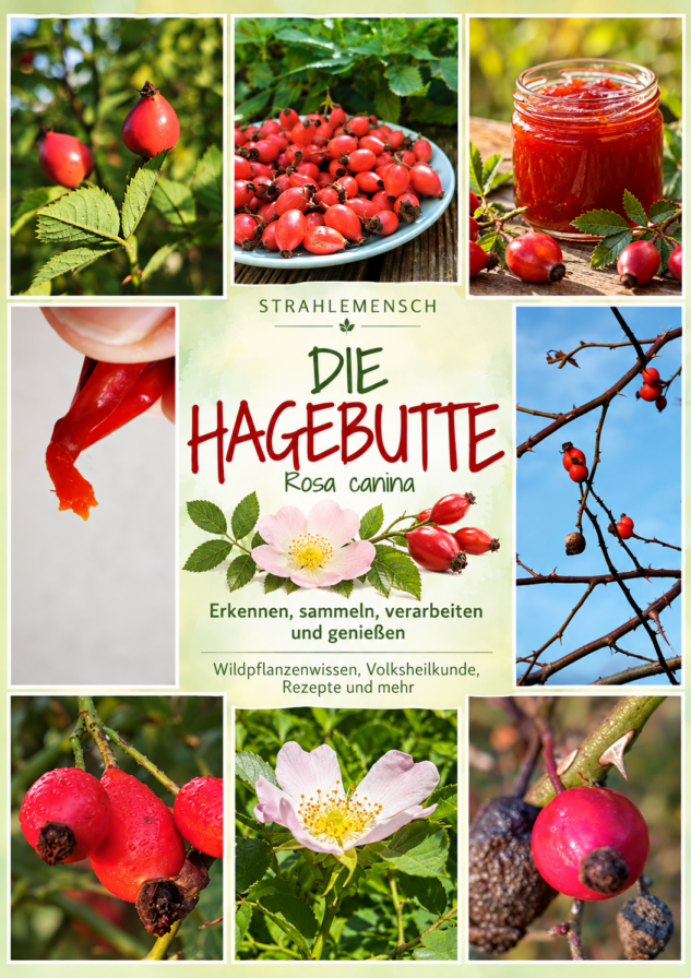 E-Book Die Hagebutte