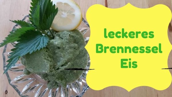 Brennessel-Eis