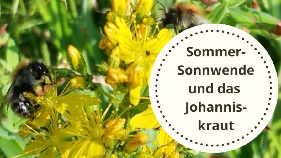 Heute Ist Sommersonnenwende Strahlemensch