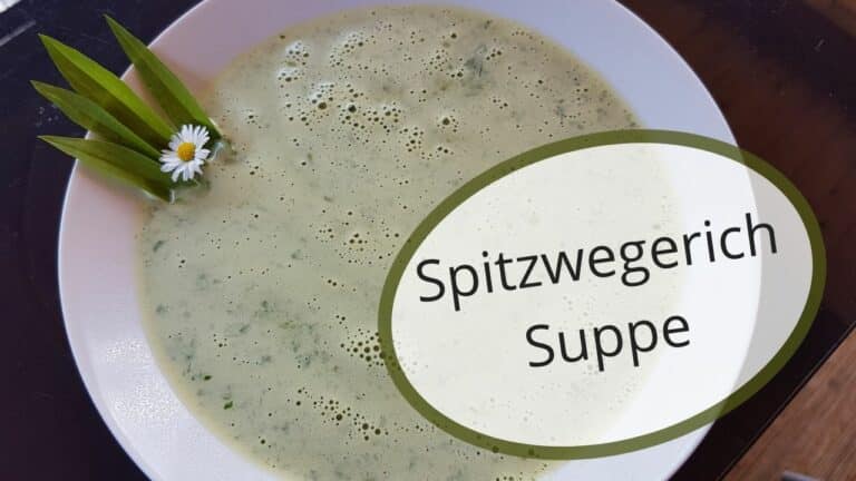 Spitzwegerichsuppe