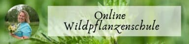 email Banner Wildpflanzenschule